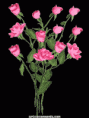 /album/csillogo-rozsak-/a00187-gif/