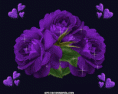/album/csillogo-rozsak-/a00214-gif/