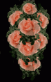 /album/csillogo-rozsak-/csv32-gif/