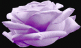 /album/sima-vegyes-viragos-kepek-/gafa4ttyzssqvpg-tqi35eqjpmsivnhx6a8crexxbvsxgo30mmmlpg-gif/