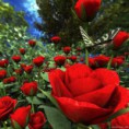/album/sima-vegyes-viragos-kepek-/a405776-526968220701044-157074295-n-jpg/