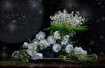 /album/sima-vegyes-viragos-kepek-/a0mjppftafylm3qrhktwdttxzkzt-0xld5he-gp3tnl8hukiisyqlgg-jpg/