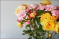 /album/sima-vegyes-viragos-kepek-/a5194564416-a07c742aa9-jpg/