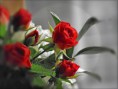 /album/sima-vegyes-viragos-kepek-/a6531469085-41e0657a5d-jpg/