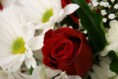 /album/sima-vegyes-viragos-kepek-/a393239532-c5549b4003-jpg/
