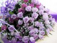 /album/sima-vegyes-viragos-kepek-/a1237747-650291798323206-855910901-n-jpg/