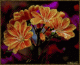 /album/vegyes-viragos-kepek-/lec8qcpa87-nik9xw1wt43vswp4y0pzs4vpl-ewsy35pznfjftsudq-gif/